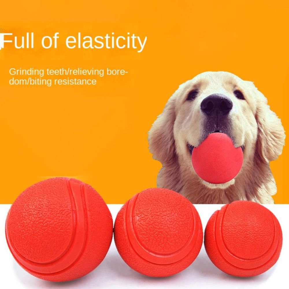 Indestructible Dog Chew Toy - Pet Rubber Solid Ball Dog Training