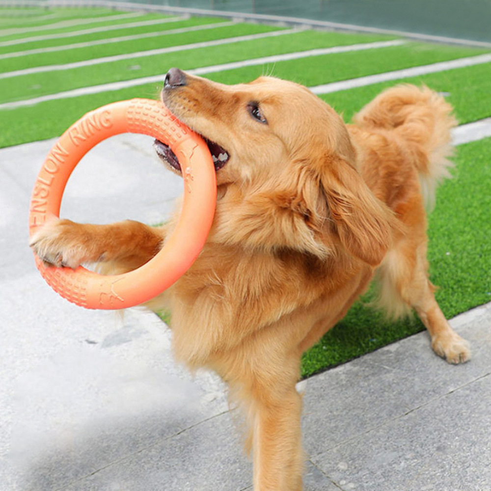 1pc Orange Dog Toys Pet Flying - Flying Disc Dog Training Toy 评论和价格