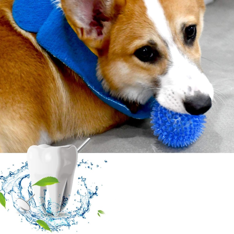 Pet Toy Ball for Cats And Dogs - Indestructible Dog Chew Toy 评论和价格