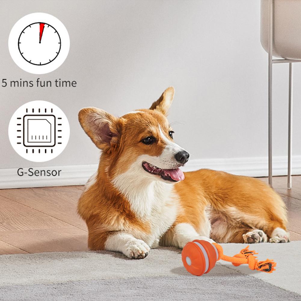Pet Ball for Dogs Interactive  - Automatic Moving Dog Ball 评论和价格