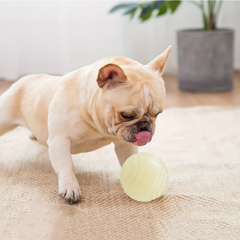 Glow-in-the-Dark Rubber Dog Ba - Indestructible Dog Chew Toy 评论和价格