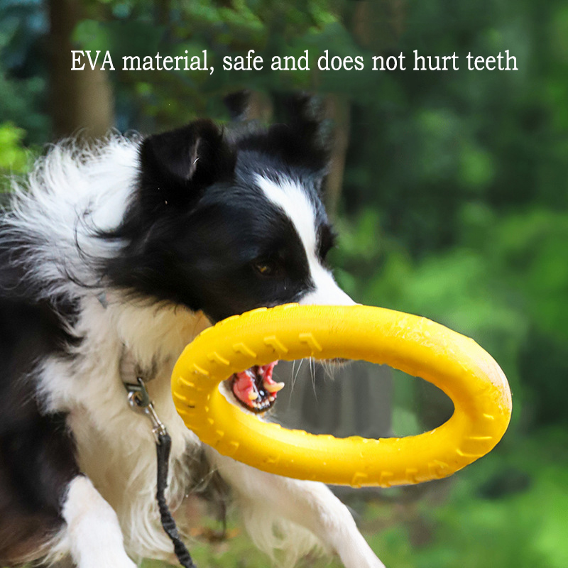 EVA Durable Dog Toys 4 Pack  F - Indestructible Dog Chew Toy 评论和价格