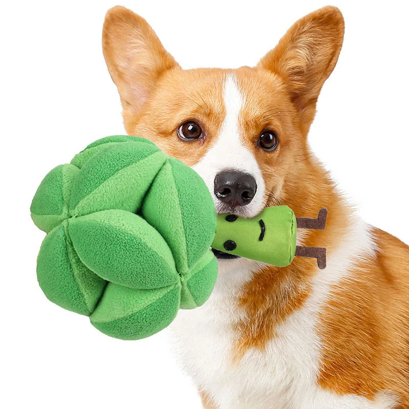 Snuffle Broccoli Dog Puzzle To - Dog Puzzle Feeder Toy 评论和价格
