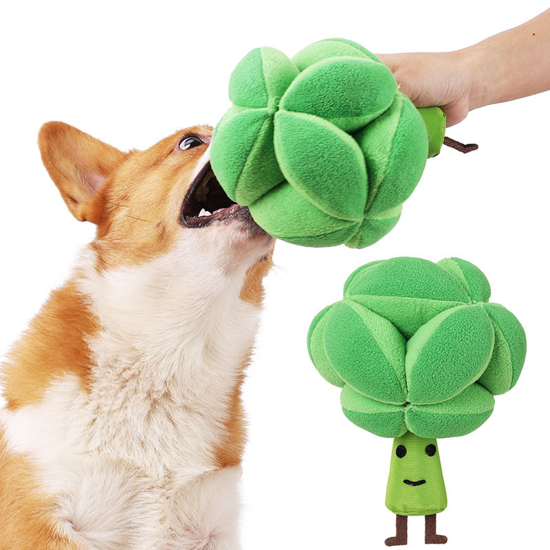 Snuffle Broccoli Dog Puzzle To - Dog Puzzle Feeder Toy 评论和价格