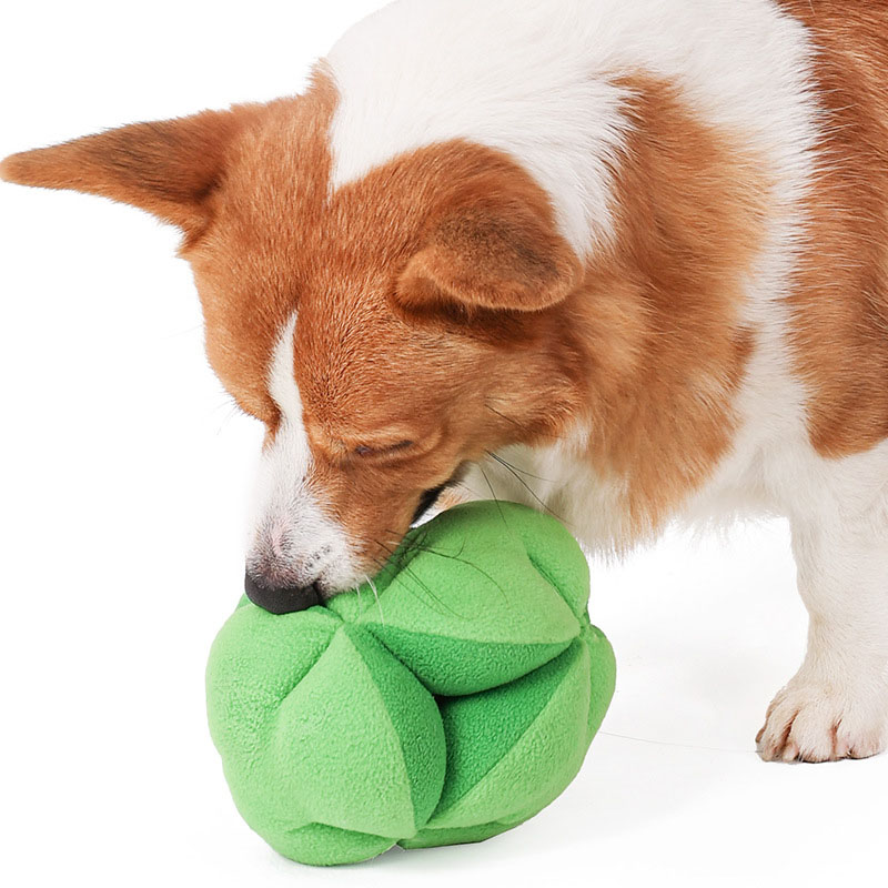 Snuffle Broccoli Dog Puzzle To - Dog Puzzle Feeder Toy 评论和价格