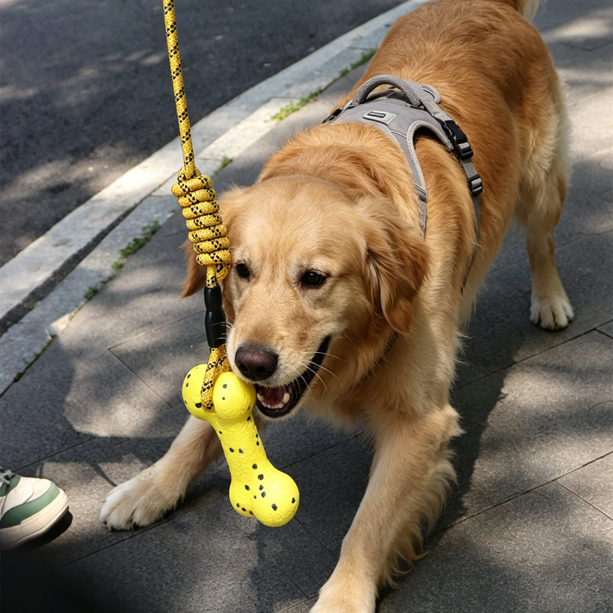 Heavy Duty Dog Tug Rope Toy ET - Dog Rope Toy Aggressive Chewers 评论和价格
