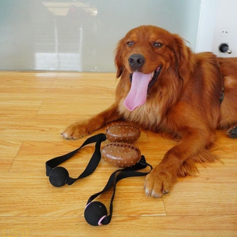 12PD Rope Coffee Bean Dog Chew - Dog Rope Toy Aggressive Chewers 评论和价格