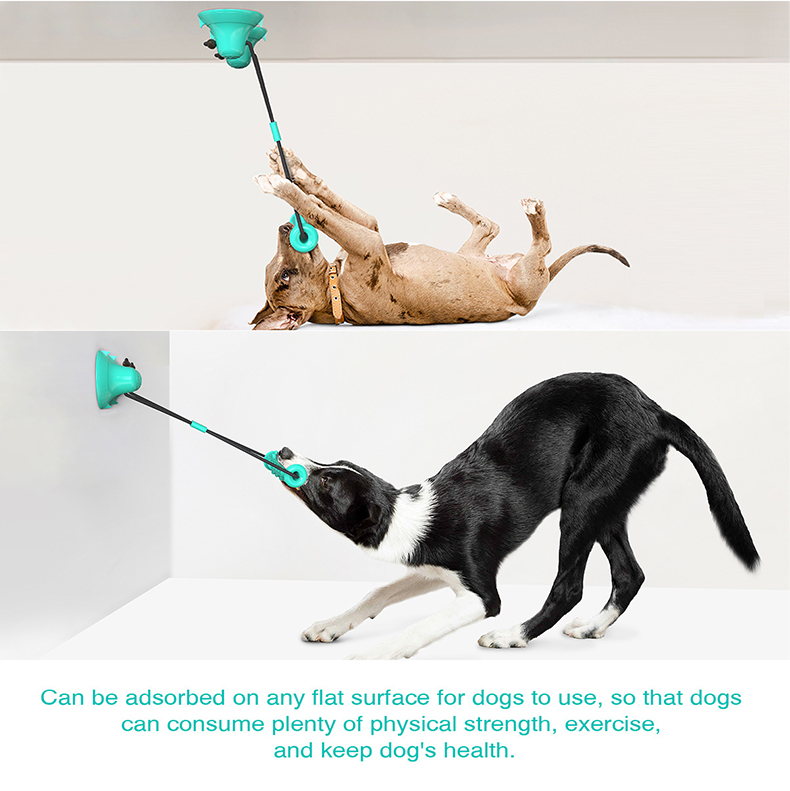 Dual Suction Cup Dog Chew Tug  - Dog Rope Toy Aggressive Chewers 评论和价格
