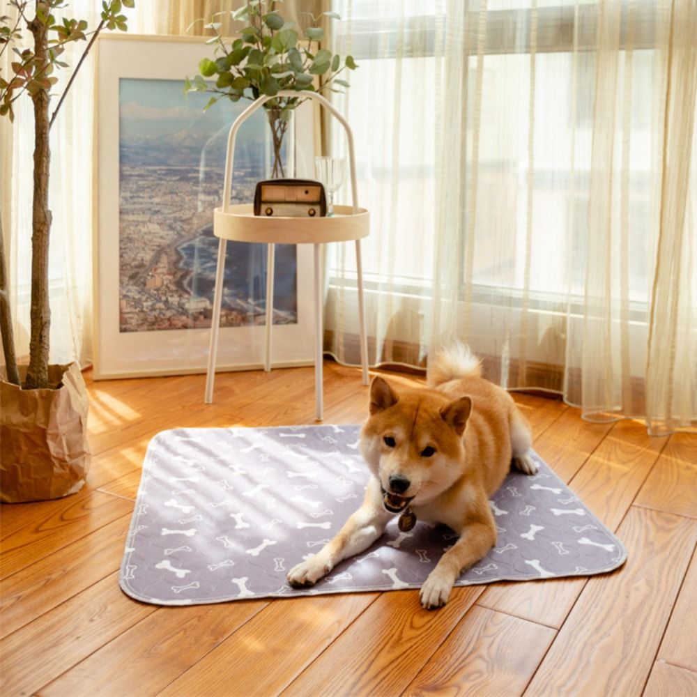 Durable Super Absorbent Pet Be - Pet Beds 评论和价格
