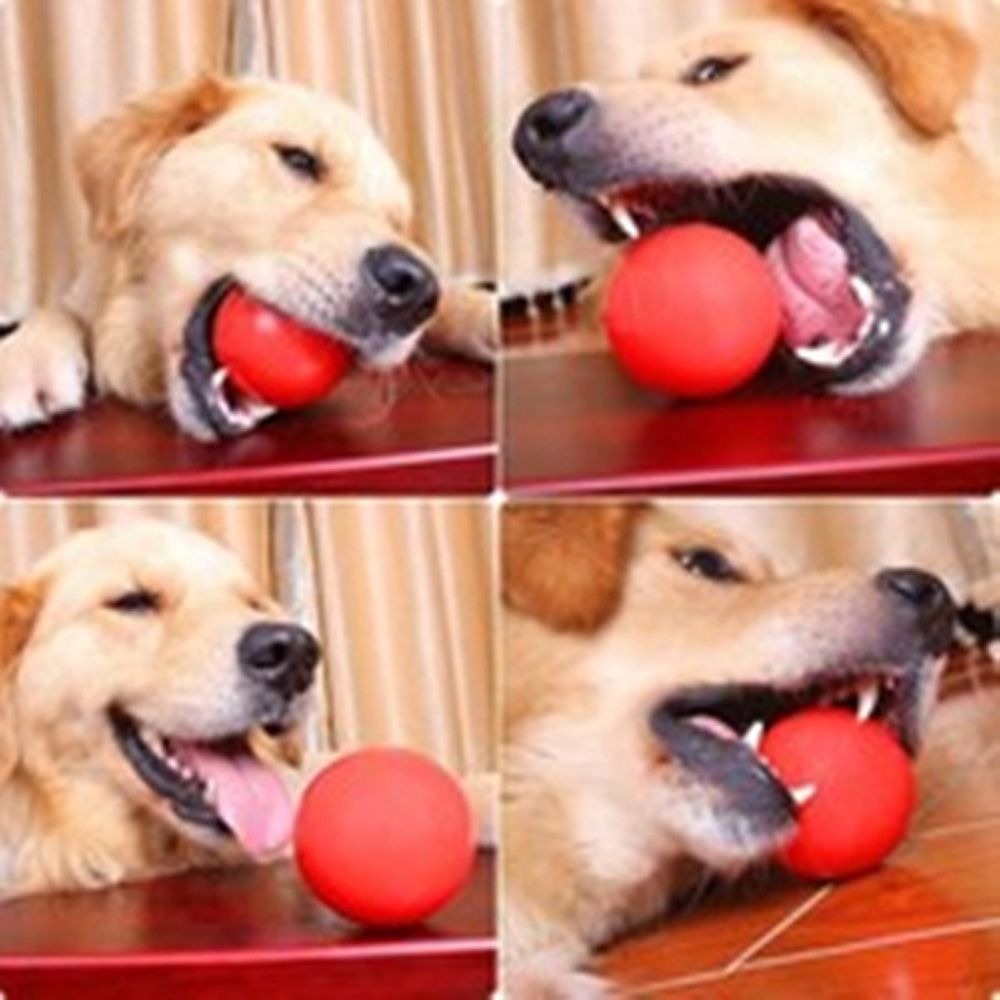 Pet Rubber Solid Ball Dog Trai - Indestructible Dog Chew Toy 评论和价格