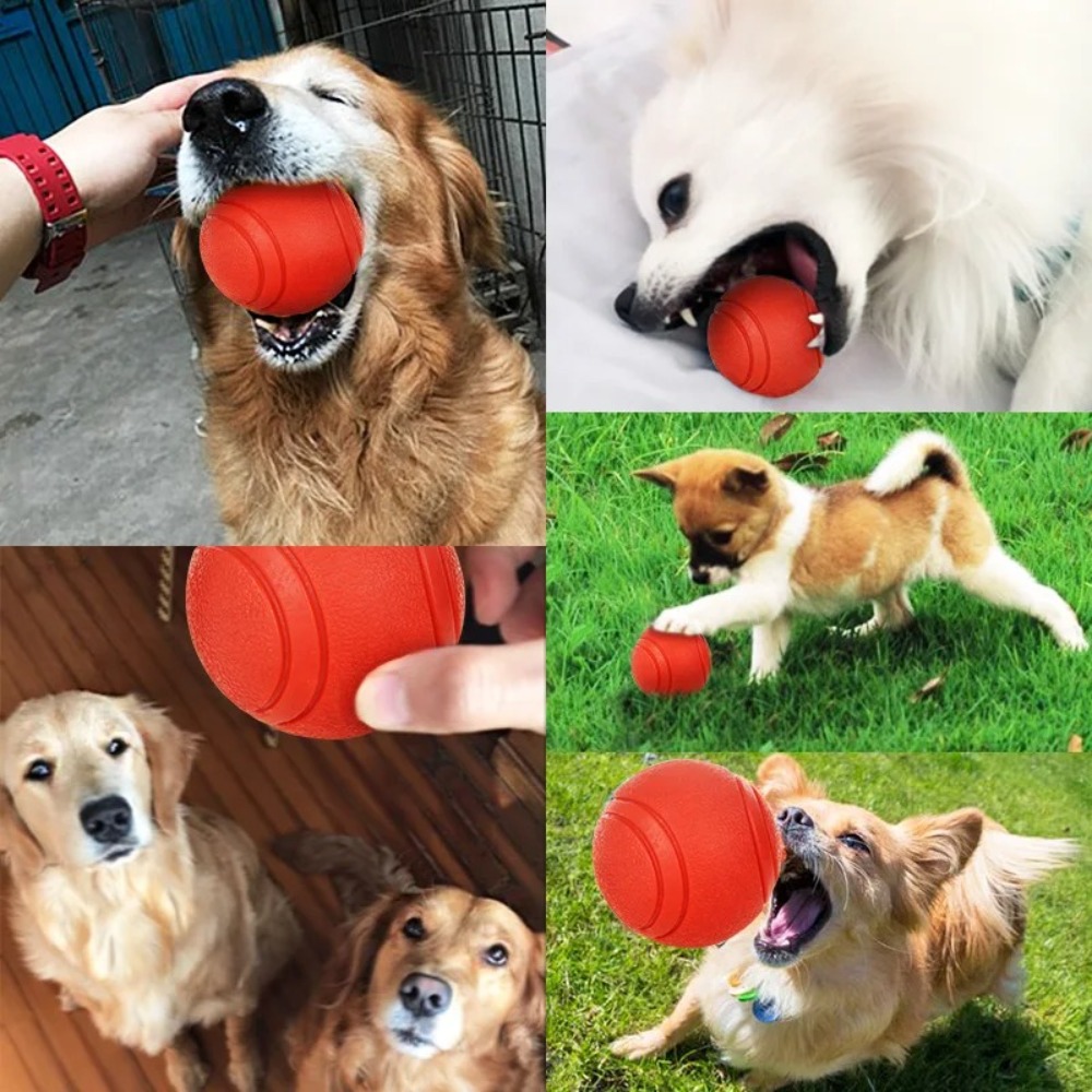 Pet Rubber Solid Ball Dog Trai - Indestructible Dog Chew Toy 评论和价格