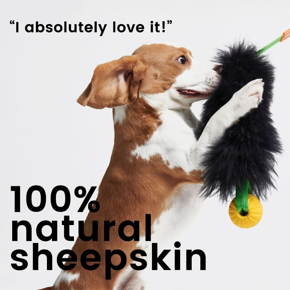 Dog Rope Toy Interactive Dog B - Indestructible Dog Chew Toy 评论和价格